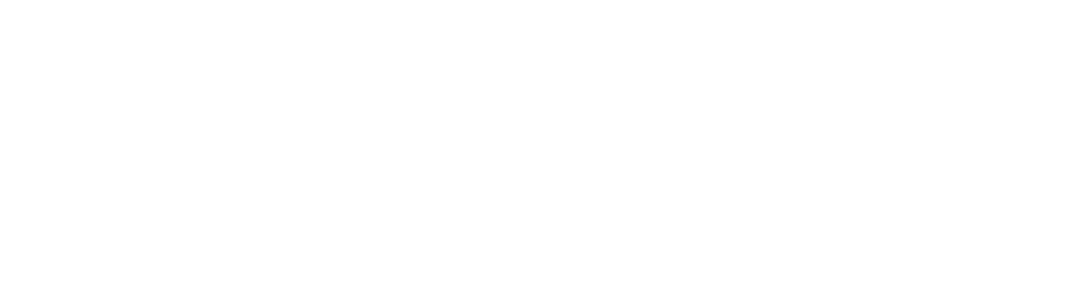 Widder Solutions